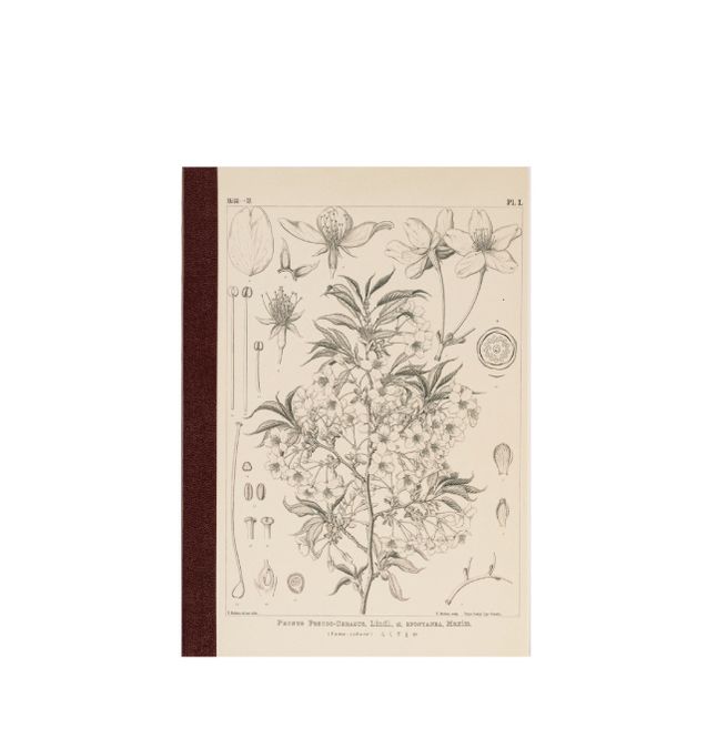 Hovedbilde HOBONICHI Yamazakura Notatbok, A6