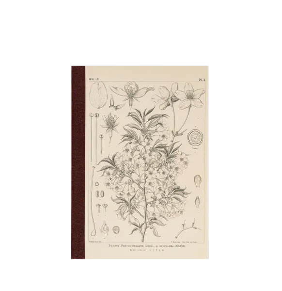 HOBONICHI Yamazakura Notatbok, A6