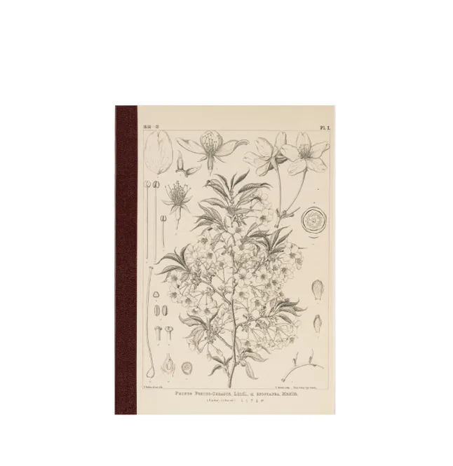 Hovedbilde HOBONICHI Yamazakura Notatbok, A6