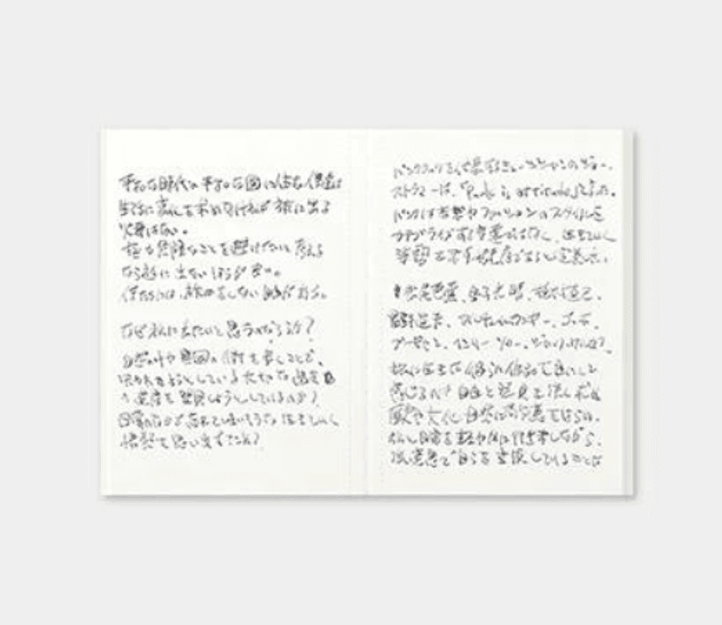 Travelers Lightweight Paper Notebook 005, Passport size