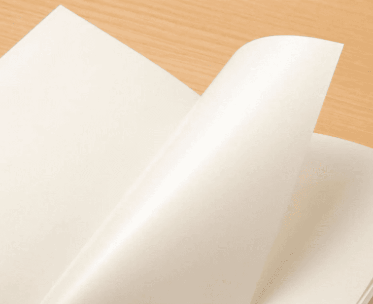 Travelers Sticker Release  017, Passport